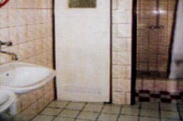 Poljska Privát Tylicz, Eksterier